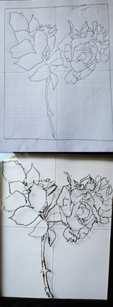 Exercise 12