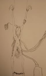 IMG_20250629_123310350~2