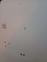 20240423_011147