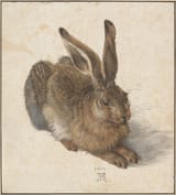 &#039;Young Hare&#039; - Dürer