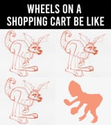 kangaroo