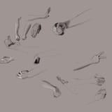 hams
