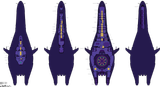 Covenant Science Vessel Plans