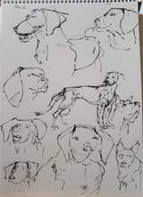 20250706_121549