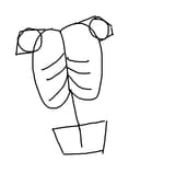 thing