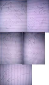 1743908986816631