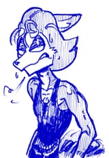 Wolfgang