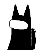 regular, normal catto