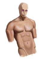 torso sudy