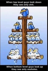 society