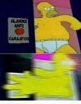 163789200224s