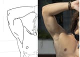 bicep