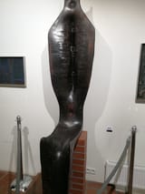 IMG_20220209_132852