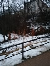 IMG_20220209_165356