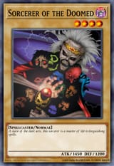 49218300