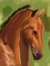 horse 1 hr