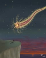 anatomy of a comet_2