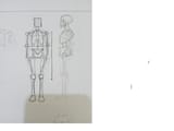 Anatomy