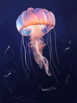 jellly rough