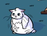restarted cat