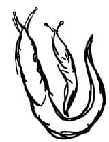 24826130-AF78-45FA-8F91-ACBCB8A76650