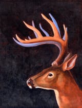 wil-vogel-deer-acrylic-painting-x1100