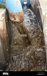 recycling-activated-sludge-BP2NYJ