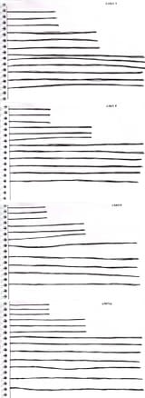 lines