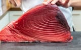 tuna-cut-crossection_x5639