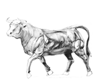 04-08-25bull