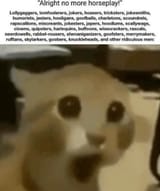 4vkzb0jr1op91