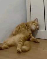 1723298971477178