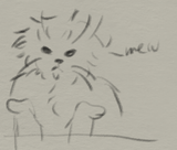 kitty