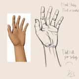 HandStudy1 21.7.25