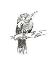 Illustration38 (1)