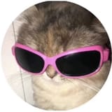 Thread 7659096 OP Image