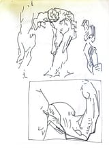 bridgman1
