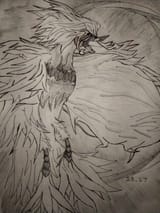 Shaded phoenix 1