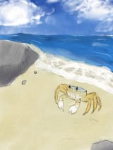 Illustration27