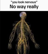 GwjA5ZpWwAAv5we