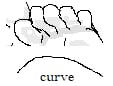 curve