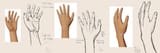 ThreeHands