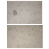 MyCollages(3)