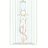 FRV Shower 2