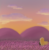 flowerfield