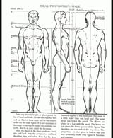 Screenshot_20250802_195932_com_android_chrome_ChromeTabbedActivity