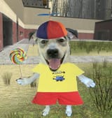 dog