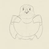 redwingedblackbird-5
