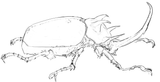 09-08-2025 bug