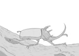 Bug